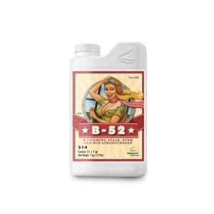 Suplemento Vitamínico B-52 Advanced N 500ml