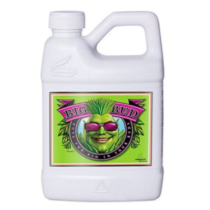 Fertilizante Potenciador Flora Big Bud Advanced N 4L