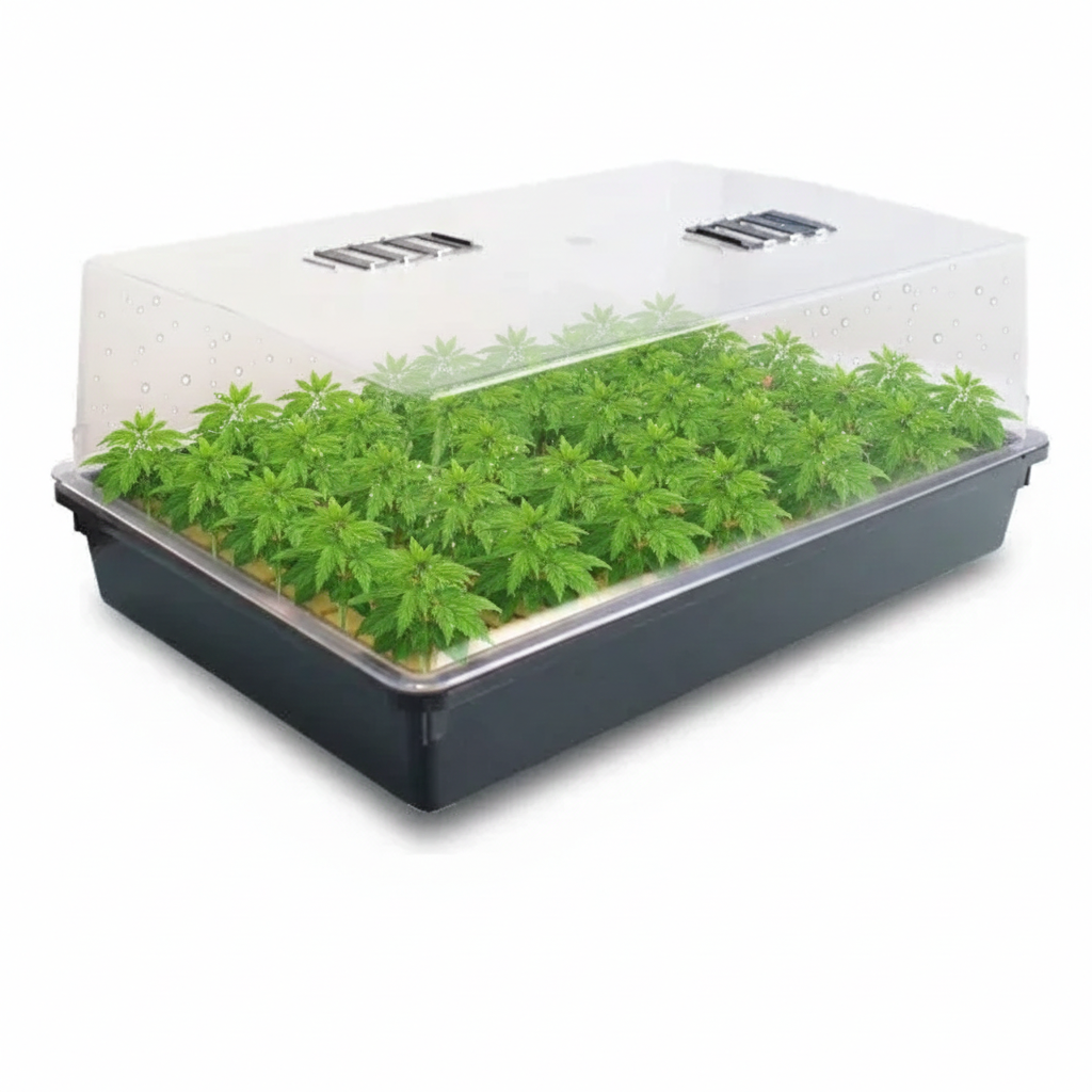 Propagador Germinador Propg 56x35x23 cm - Imagen 2